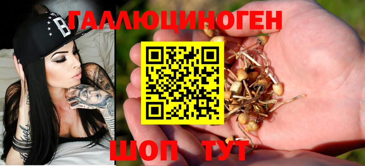 Псилоцибиновые грибы Cubensis  Вход с VPN  Саяногорск 